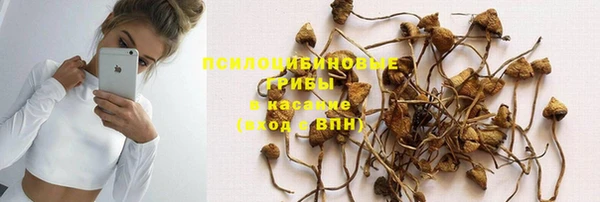 каннабис Алзамай