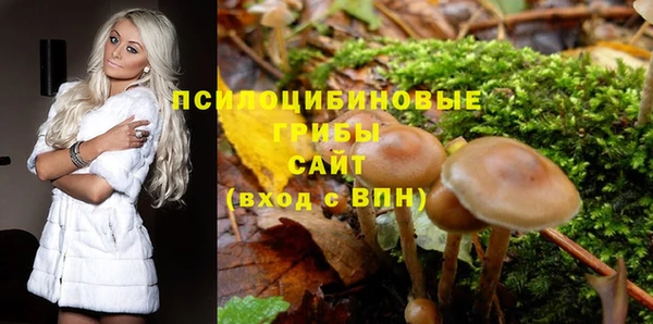 каннабис Алзамай