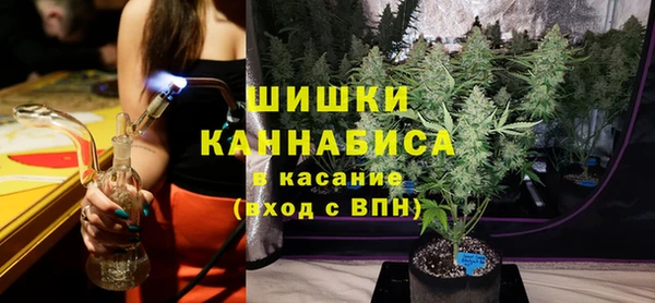 СК Жердевка