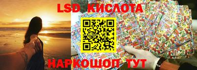 кокс Гатчина