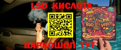 кокс Гатчина