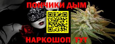 кокс Гатчина