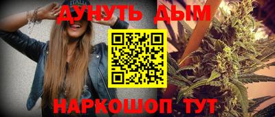 кокс Гатчина