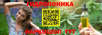 тгк Гай
