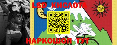 тгк Гай