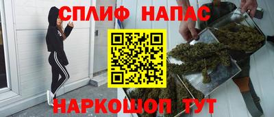 кокс Гатчина