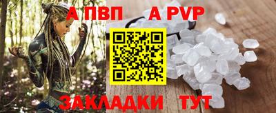 кокс Гатчина