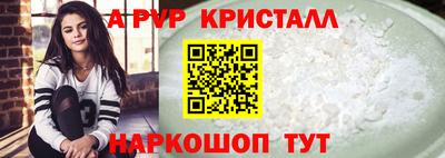 кокс Гатчина