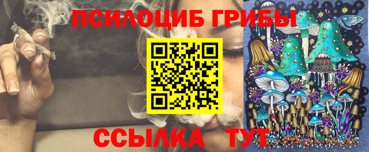 Псилоцибиновые грибы Magic Shrooms  Вход с VPN  Карпинск  Псилоцибиновые грибы прущие грибы 